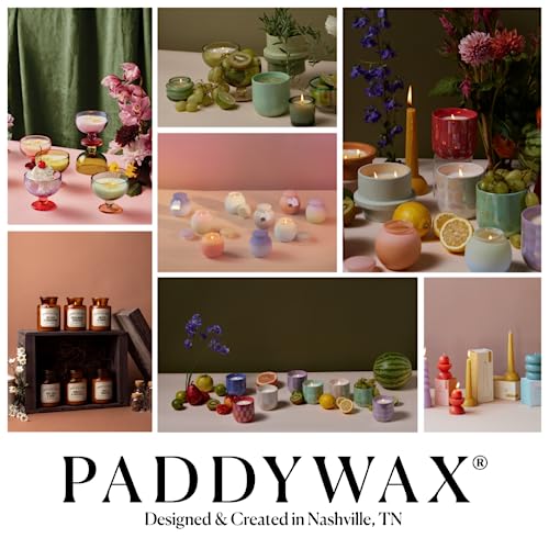 Paddywax Library Collection John Steinbeck Scented Soy Wax Candle, 6.5-Ounce, Smoked Birch & Amber