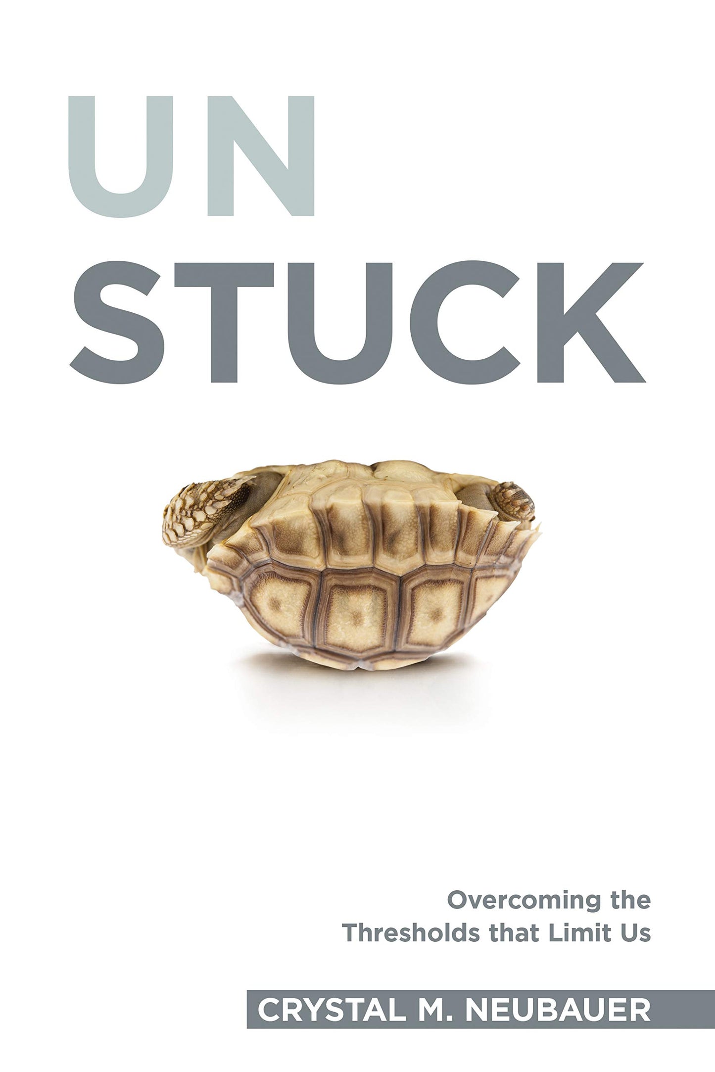 Unstuck: Overcoming the Thresholds that Limit Us