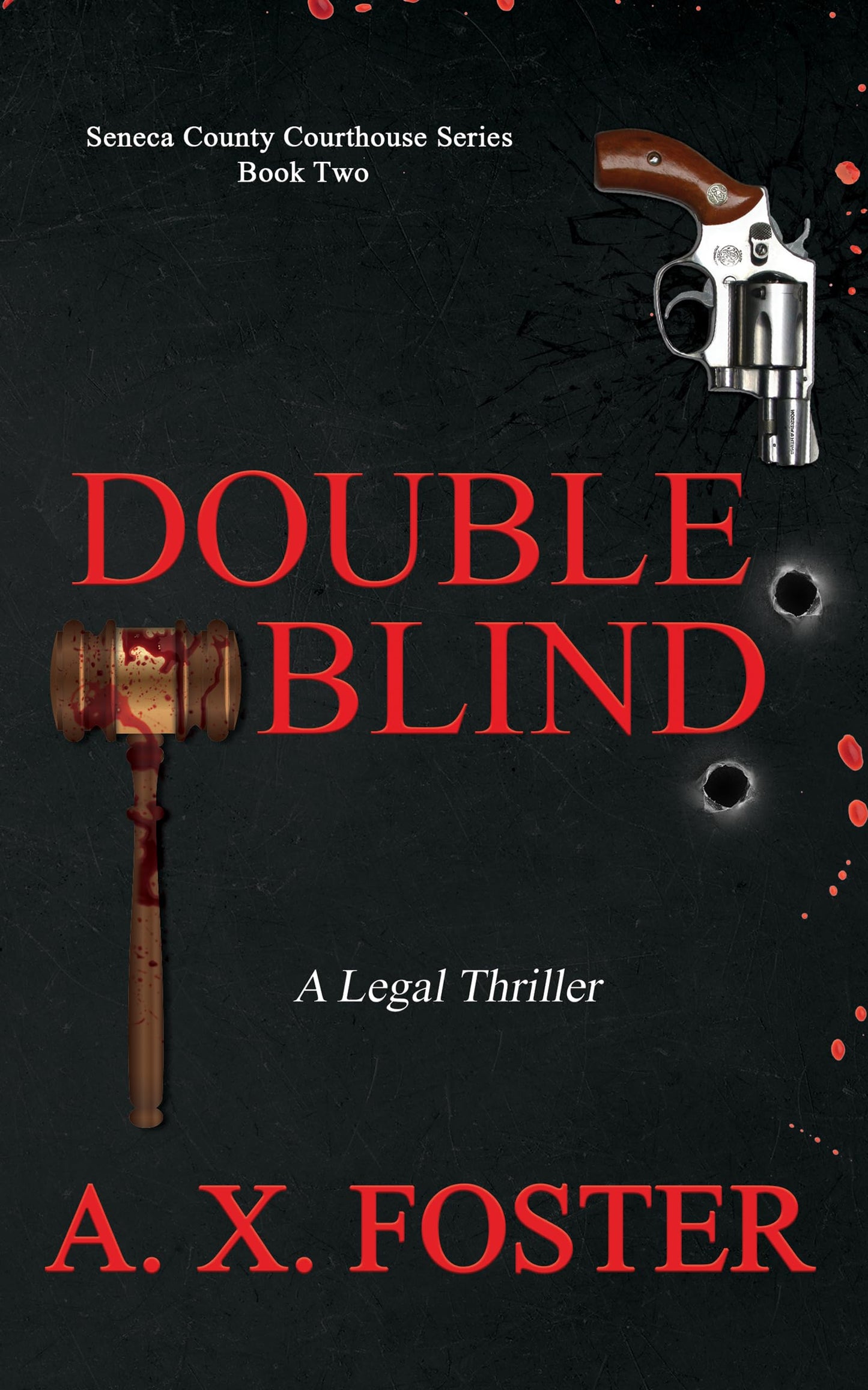 Double Blind: The Seneca County Courthouse Series: Book Two