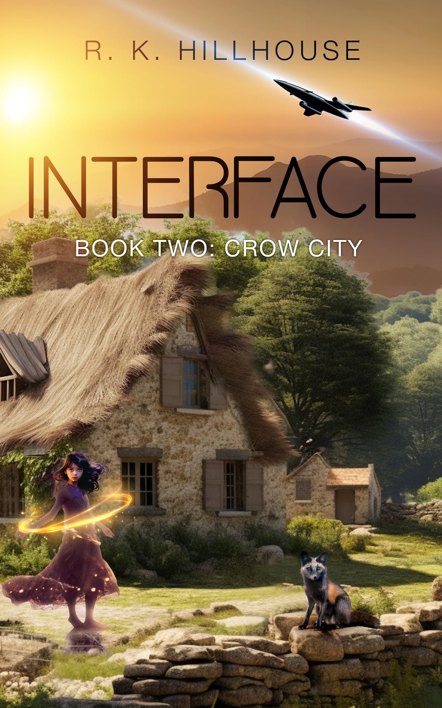 Interface Book Two: Crow City (R.K. Hillhouse's Interface Series 2)