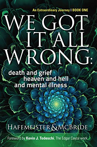 We Got It All Wrong: death and grief, heaven and hell, and mental illness (Soul Evolution Series Book 1)