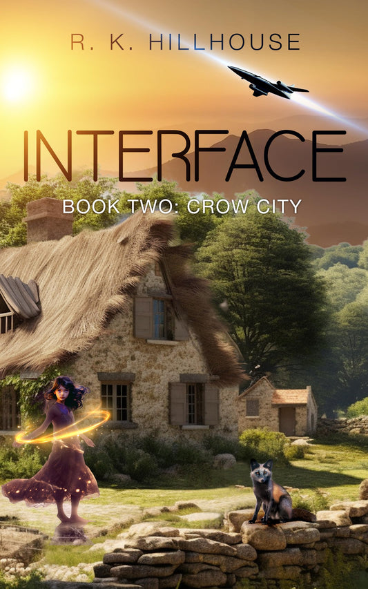 Interface Book Two: Crow City (R.K. Hillhouse's Interface Series 2)