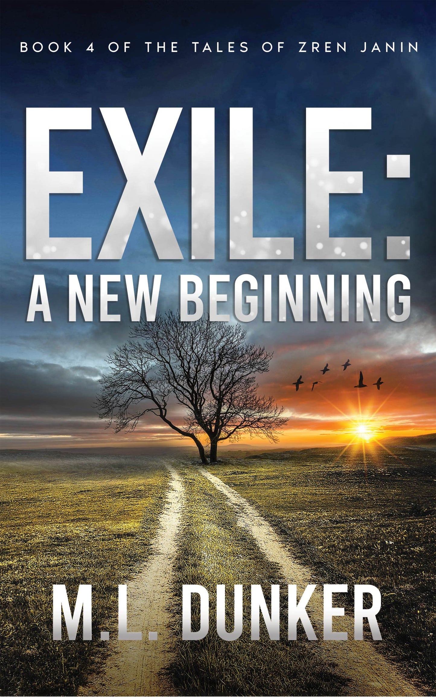 Exile: A New Beginning: Book 4 of The Tales of Zren Janin
